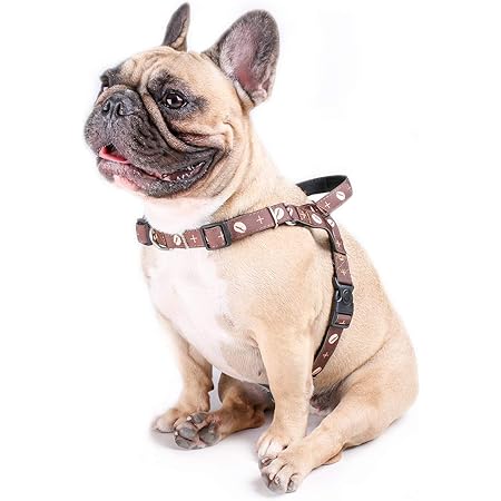 off white dog harness