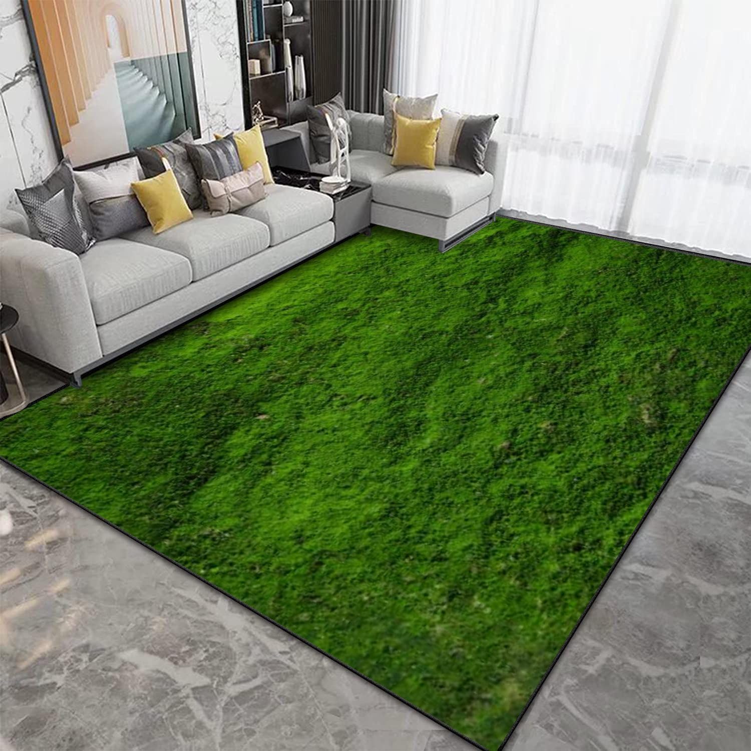 Tapis de gazon moderne 3D flanelle antidérapant salon n2692