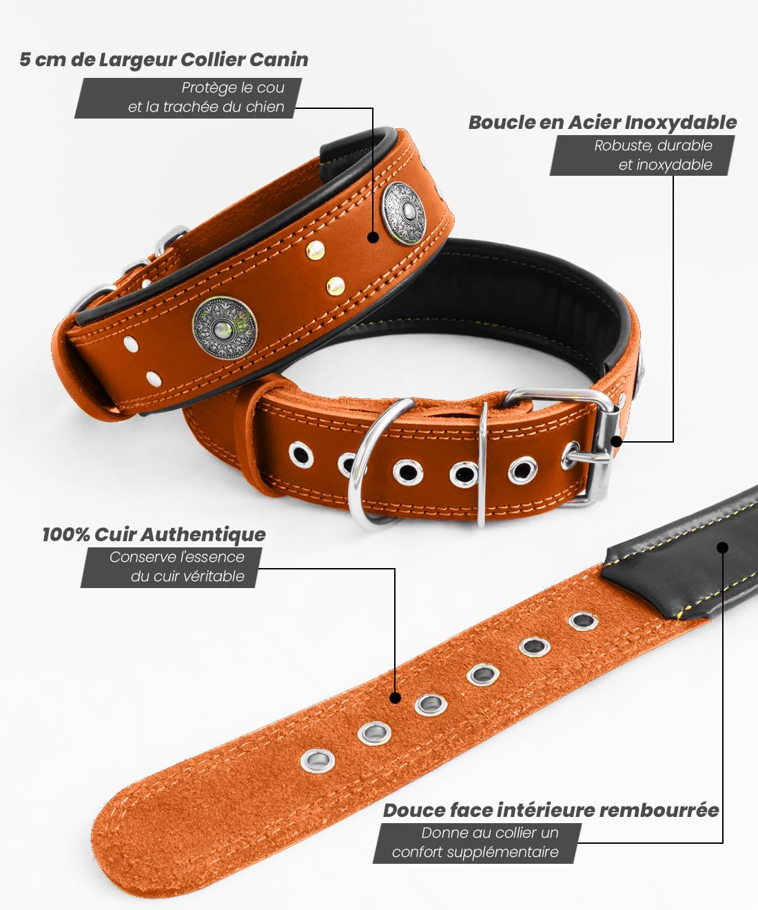 Collare Cane In Pelle Vera Per Taglie Grandi - Largo 5cm, Morbido E Resistente Con Fibbia Metallica - Nero - Foto 10