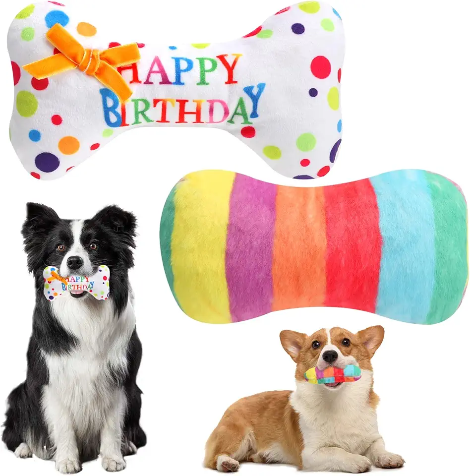 Hund födelsedagspresent ben och tårtleksak