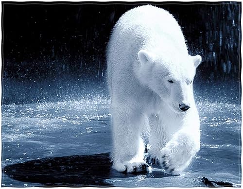 QH Manta de 58 x 80 pulgadas con patrón de oso polar súper suave para cama, sofá, ligera, viajes, camping, tamaño para niños y adultos para todas