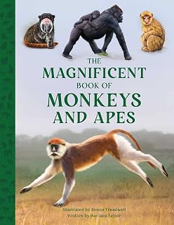 The Magnificent Book of Monkeys Lahore, Karachi - Pakistan