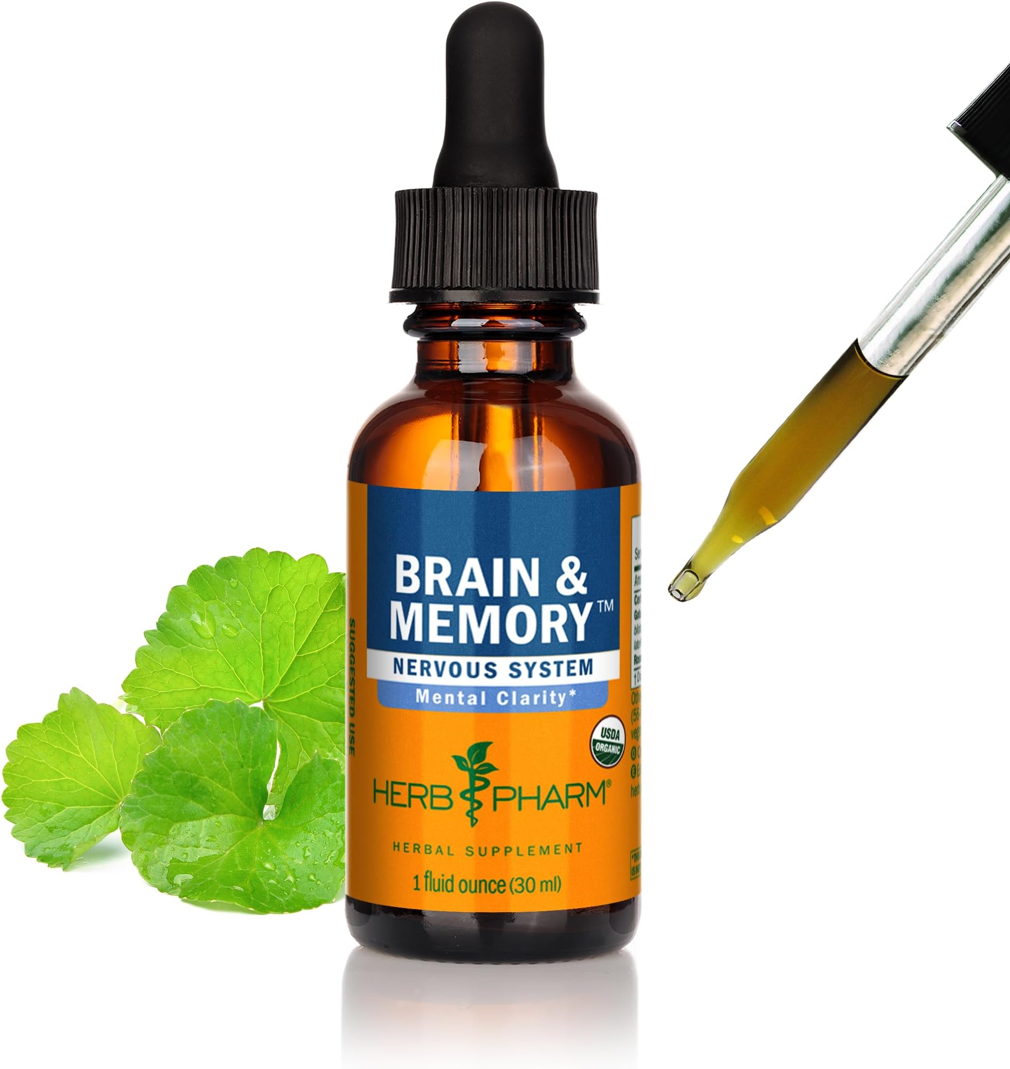 Brain and Memory Liquid Herbal Formula with Ginkgo for Memory and Concentration- 1 Ounce