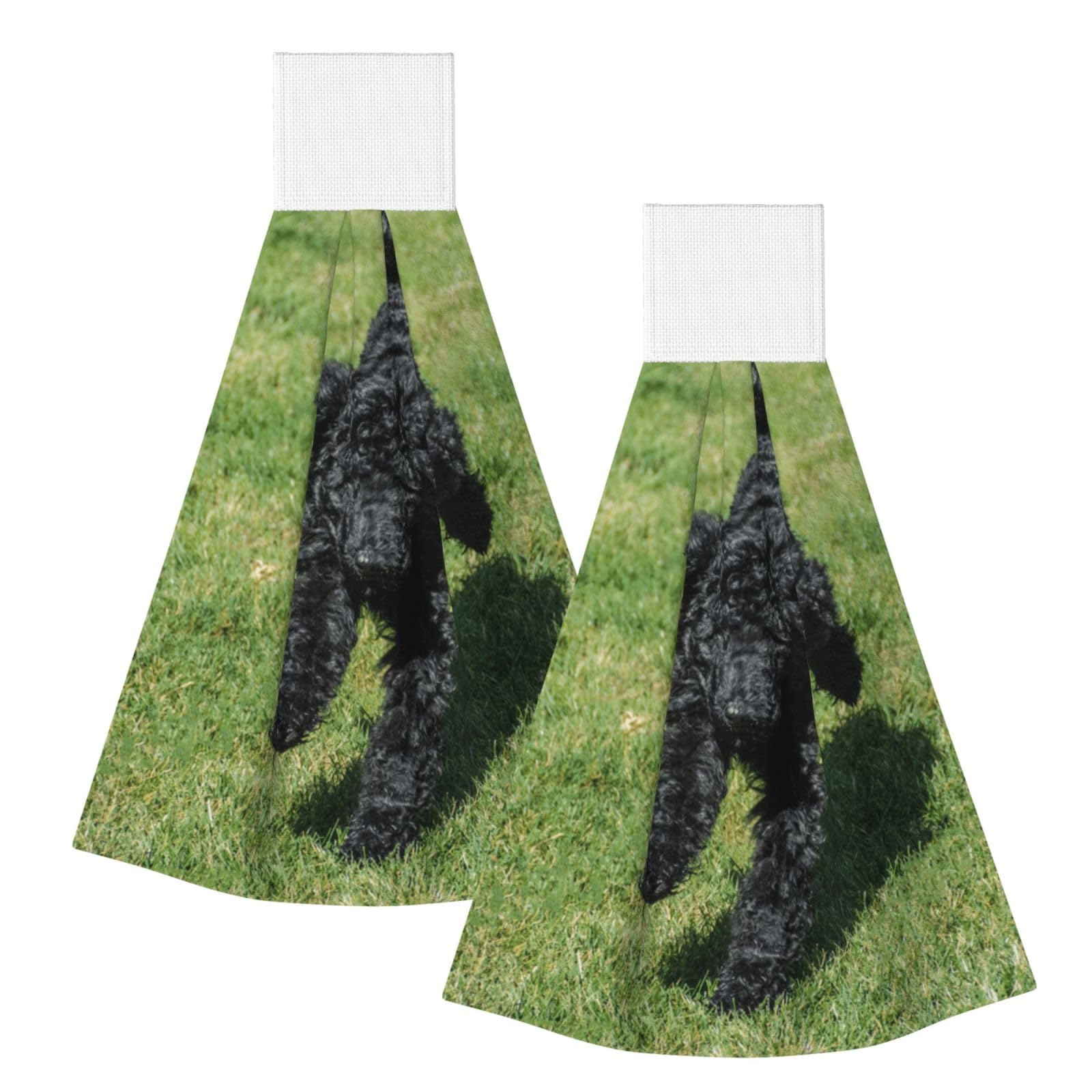 DOPKLNA Black Standard Poodle, 2 Pcs Hanging Coral Fiber Hand Towels for Bathroom, Absorbent Kitchen Towels