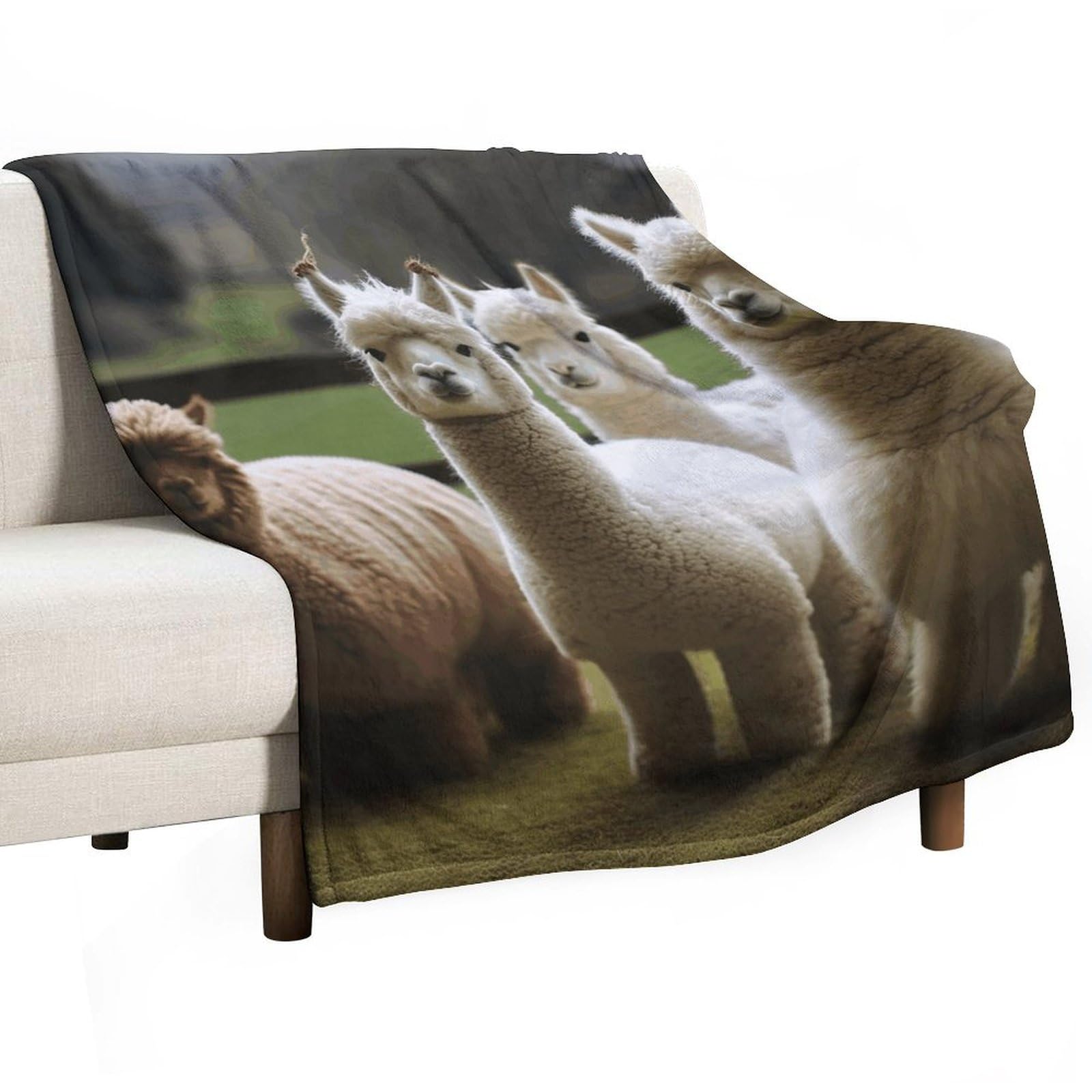 Couverture alpaga flanelle : idée cadeau originale et douce pour lit ou voyage en famille