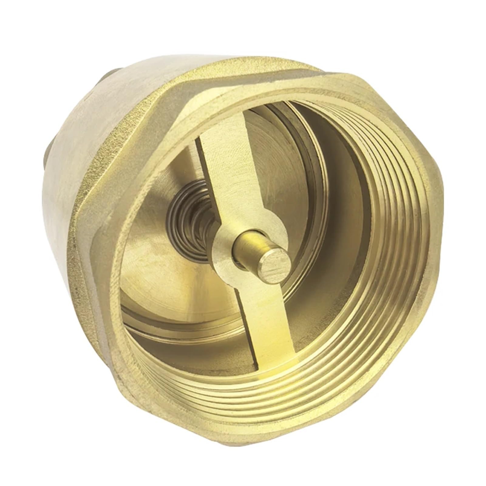 Válvula de retención agua inversa gruesa latón DN15 ~ DN100, rosca tubo, tornillo interior liso, oscilación resorte Vertical(DN32)