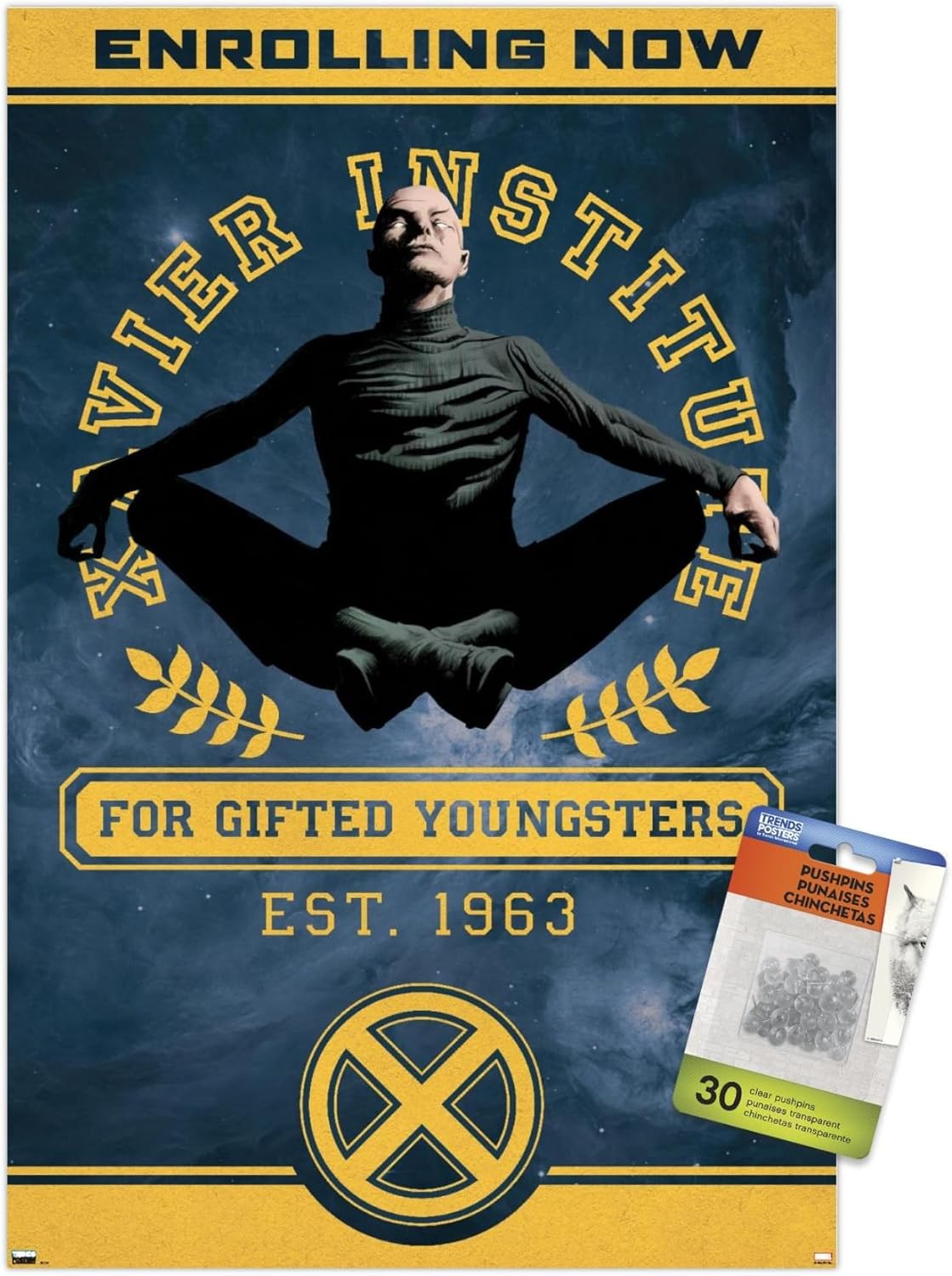 Marvel Comics - X-Men - Xavier Institute ウォールポスター プッシュピン付き
