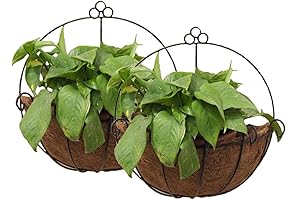 Tosnail Metal Wall Planter