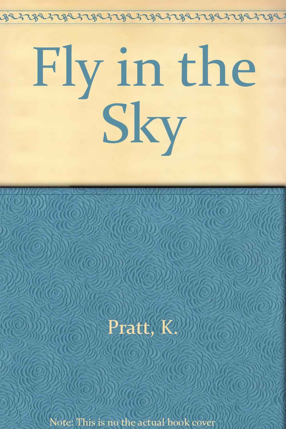 Fly in the Sky