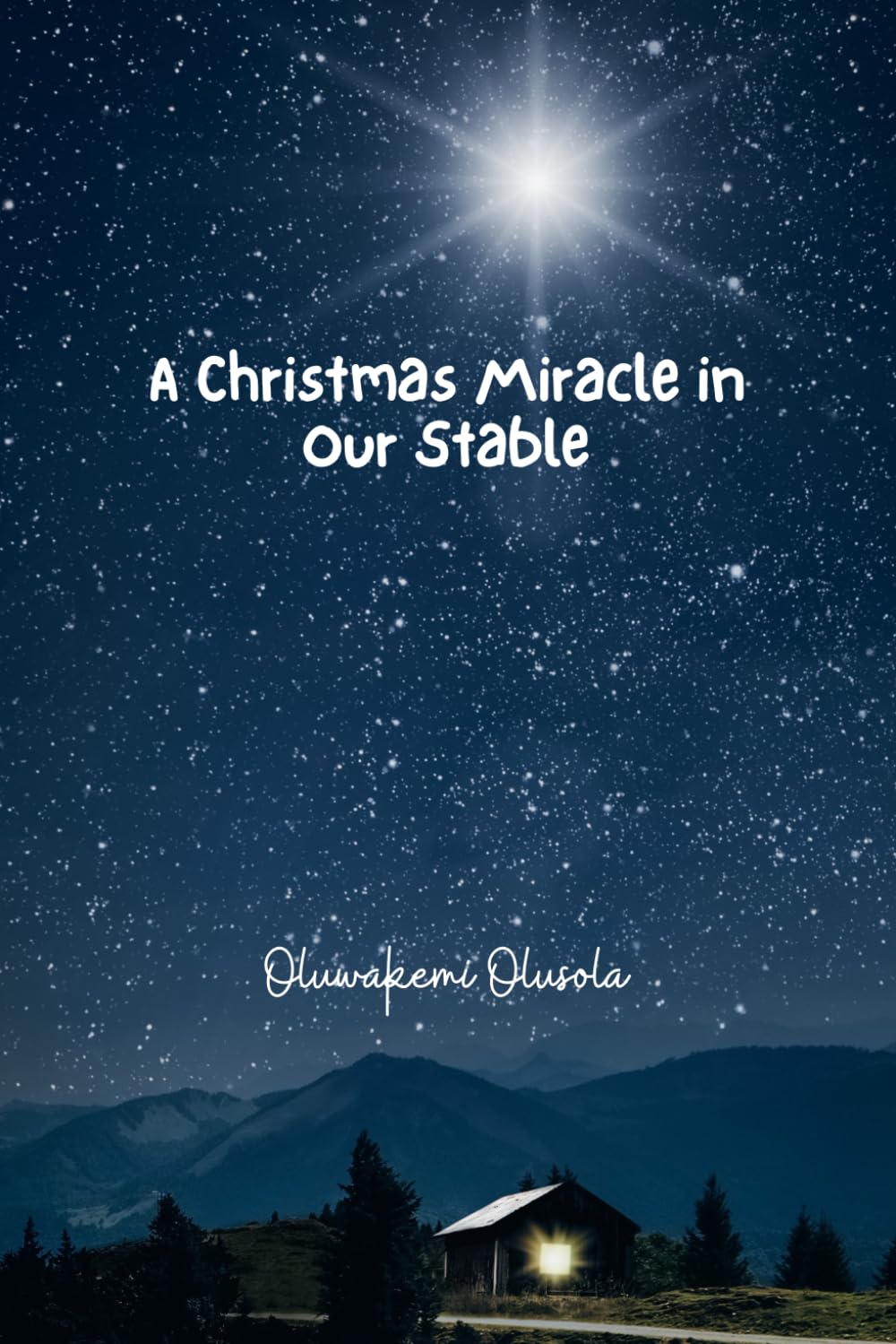 A Christmas Miracle in Our Stable