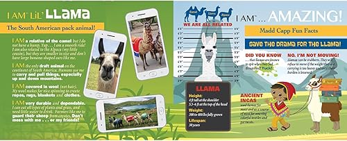 Miniatura 5 de Madd Capp LiL' LLAMA - Rompecabezas de 100 piezas para mayores de 5 a 4011 años, borde único en forma de animal, tamaño de póster cuando se