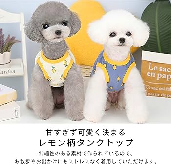 犬服　＊Lemon＊　ハンドメイド Amazon | [FRENCH FRENCH]犬服 夏 レモン タンクトップ 春 フレンチ