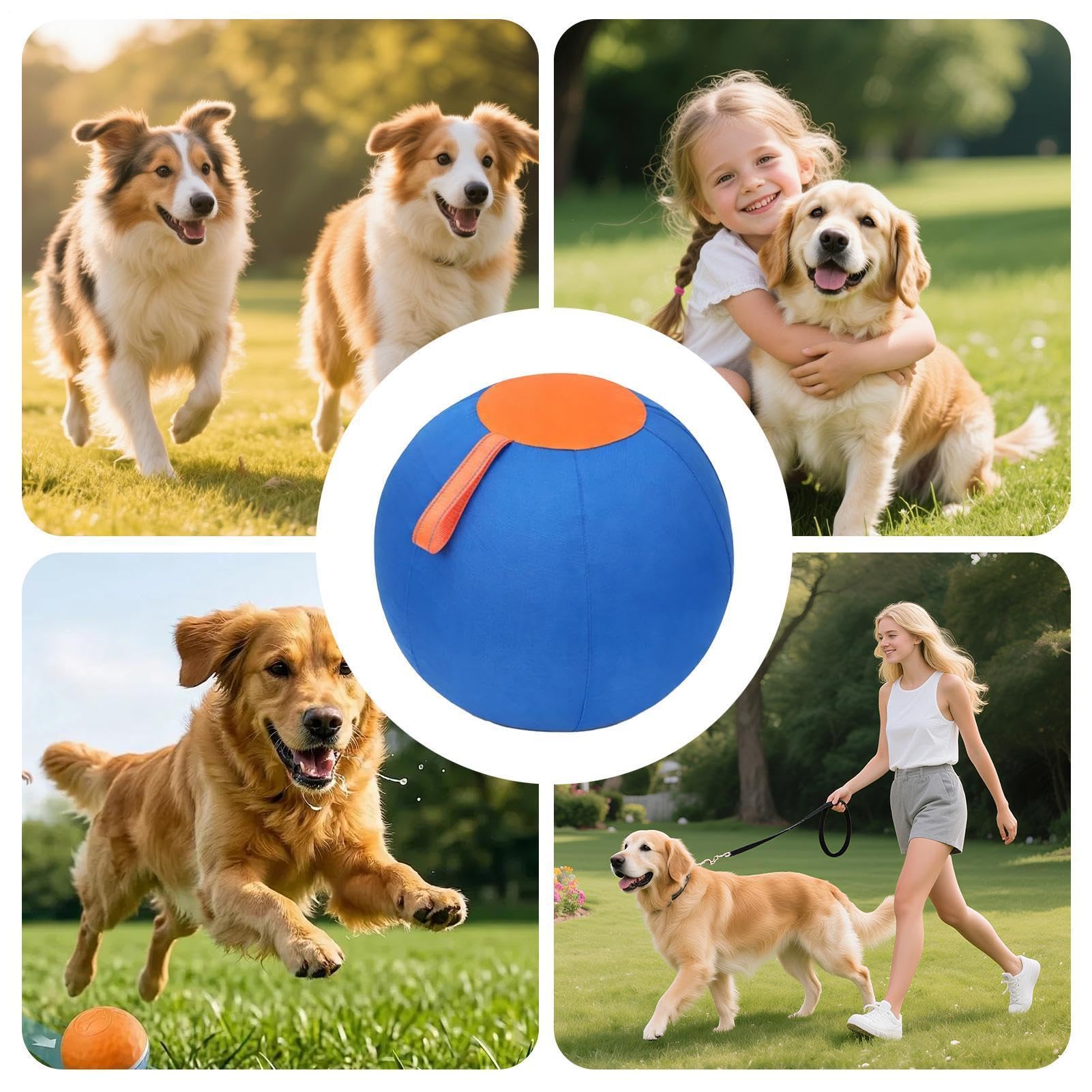 Pelota Pastoreo Hinchable Resistente e Interactivo | Pelota Juego Mascotas Juguete Adiestramiento Canino Deportes al Aire Libre, Jardín Patio y Terraza Césped y