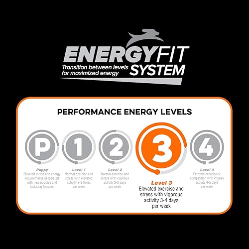 Miniatura 5 de NATIVE Alimento para perros Performance | Fórmula de harina de pollo y arroz | Sin relleno ni bi-productos | Nivel de energía elevado 3 | Bolsa de