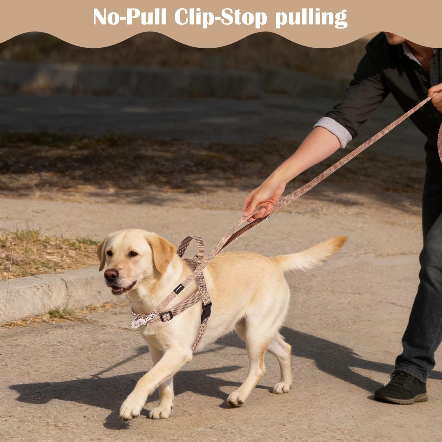 Annchwool No Pull Dog Harness with Front Clip and Easy Control Handle-Belly & Chest Adjustable Dog Harness and Leash Set for Medium Large Dogs-Heavy Duty Vest Harnesses Easy for Walking(Brown,L)