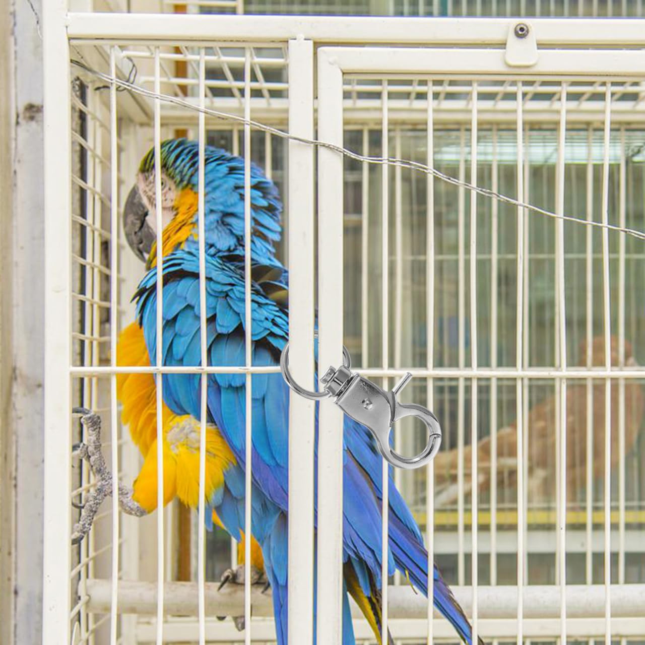 Beavorty 5 Pezzi Blocco Gabbia per Uccelli serrature per Porta di Gabbia di Coniglio Accessori per Uccelli per Gabbie chiusure di Aragosta Gancio Piccolo Lucchetto per Gabbia per Uccelli Pappagallo