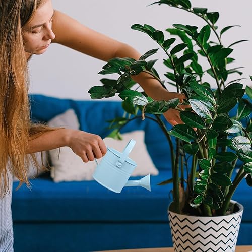 Miniatura 2 de DOITOOL Regadera pequeña de metal, 2 macetas de jardinería, cubo de riego de jardín (rojo y azul claro)