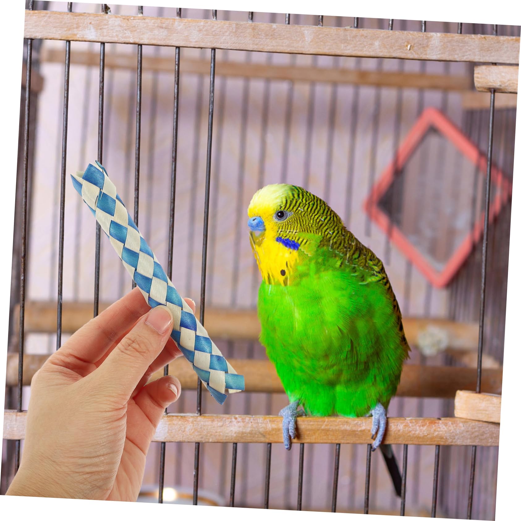 BESPORTBLE Jouets pour Oiseaux Pièces Hachoir À Nourriture pour Oiseaux Jouet À Mâcher en Bambou