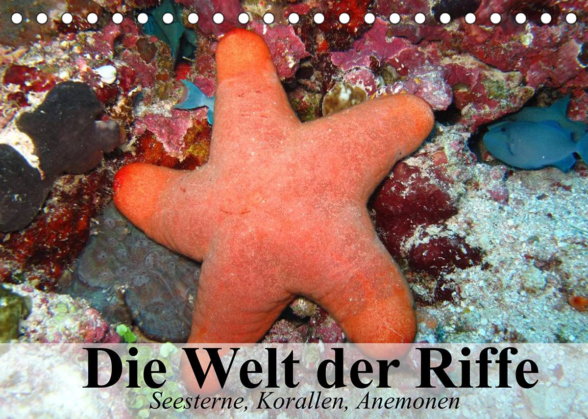 Die Welt der Riffe. Seesterne, Korallen, Anemonen (Tischkalender 2022 DIN A5 quer): Die erstaunlichen Gärten und Blütenformen der Meere (Monatskalender, 14 Seiten ) (CALVENDO Tiere)