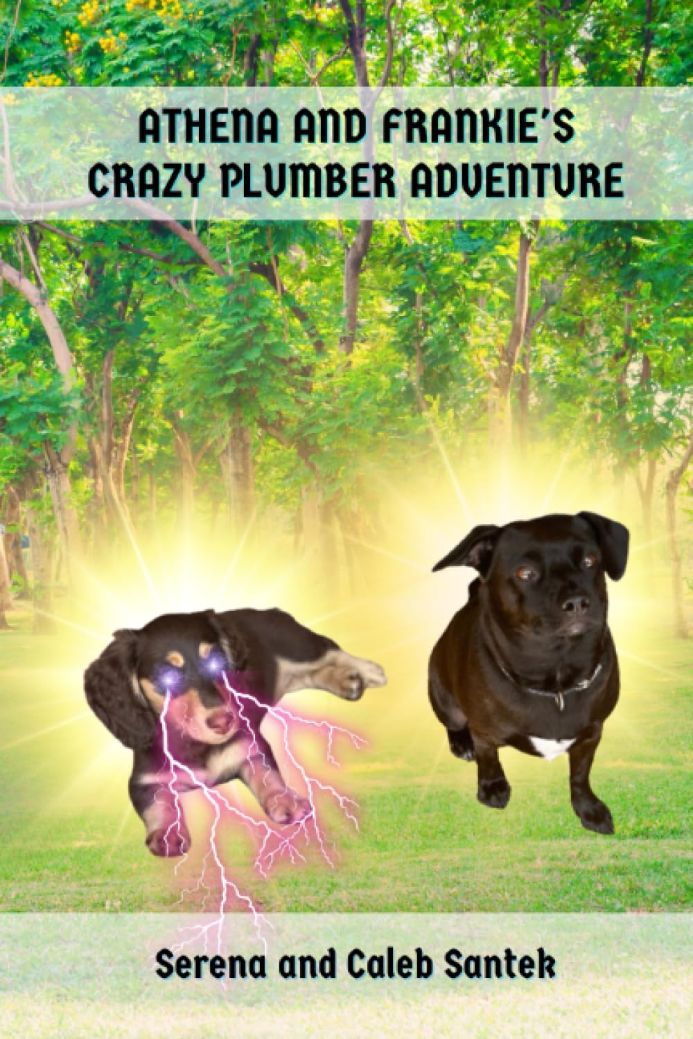 Athena and Frankie's Crazy Plumber Adventure