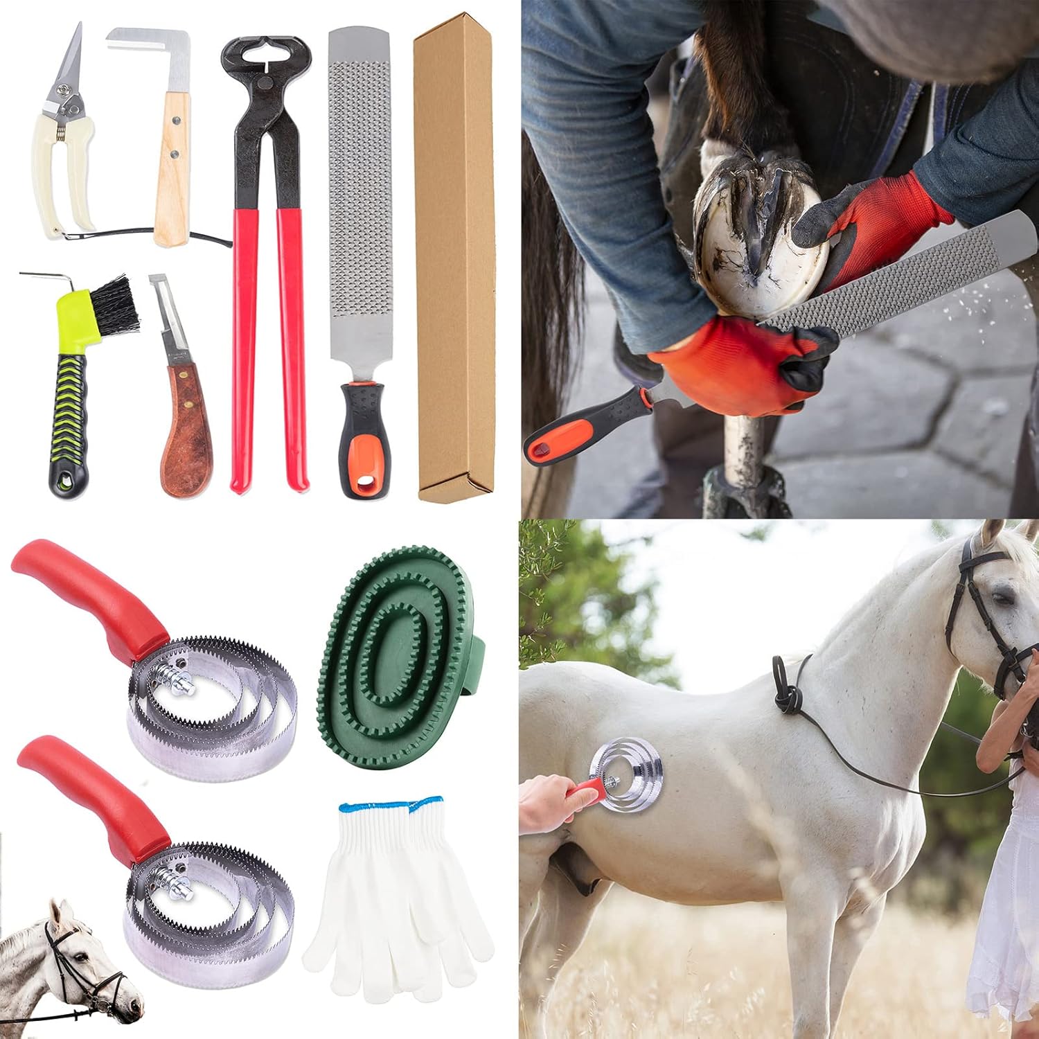 Nopaso Horses Farrier Hoof Tool Kit 14in Horseshoe