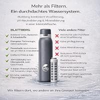 Blattberg Rozsdamentes Vízszűrő Palack 740ml - Baktérium és Vírus Elleni Védelem 6