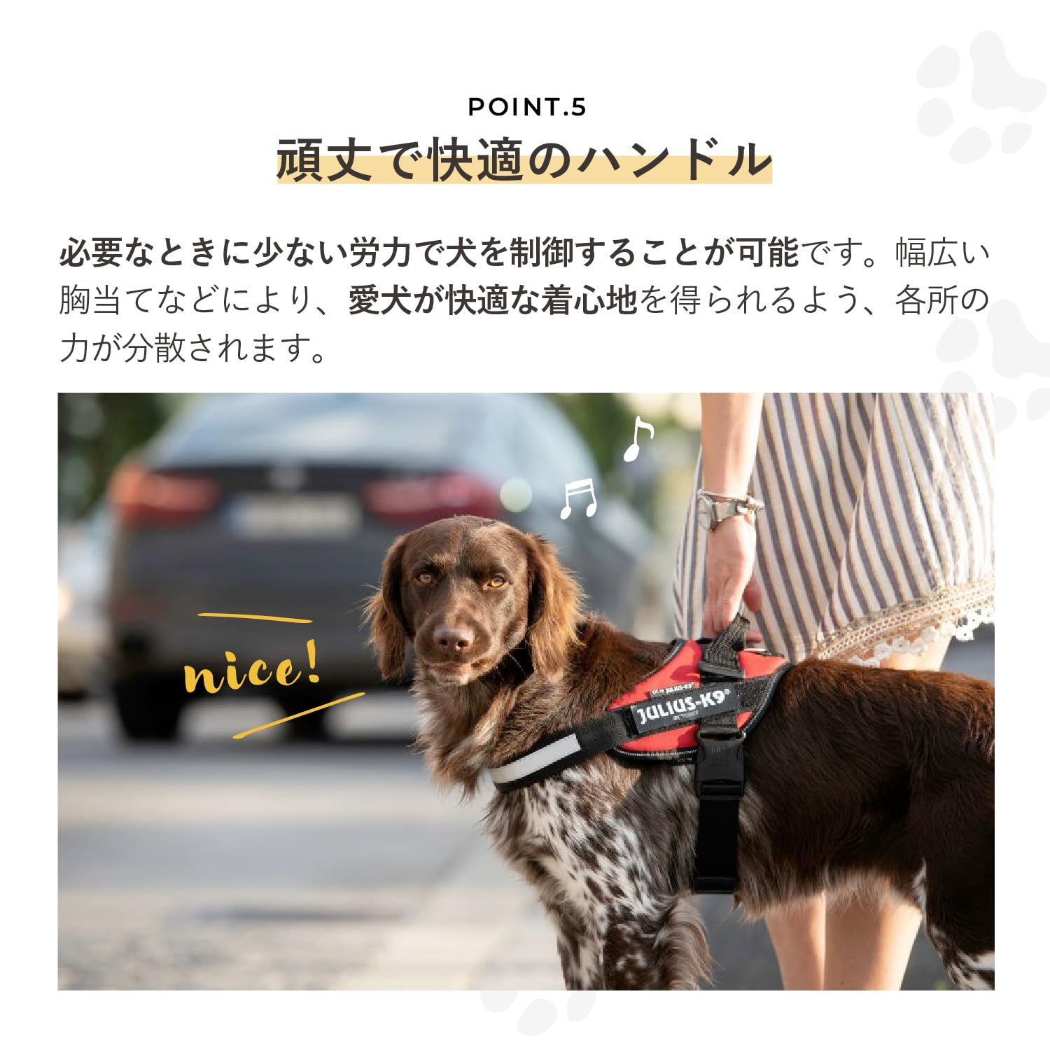 Amazon | IDCパワーハーネス, サイズ: S/ミニ, 唐草グリーン