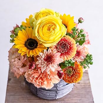 フラワーアレンジメントの完全ガイド: オーストラリアのフローリストの実践的ガイド フラワーアレンジメントの完全ガイド: オーストラリアのフロー