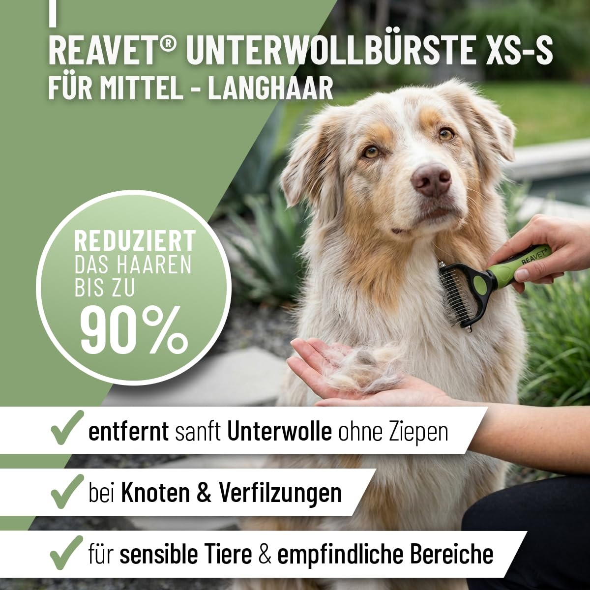 ReaVET Brosse pour chien et chat - Brosse à sous-poil pour poils longs - Pour les petites races - Élimine les sous-poils et les nœuds - Avec effet de massage et protection des poils - Brosse pour
