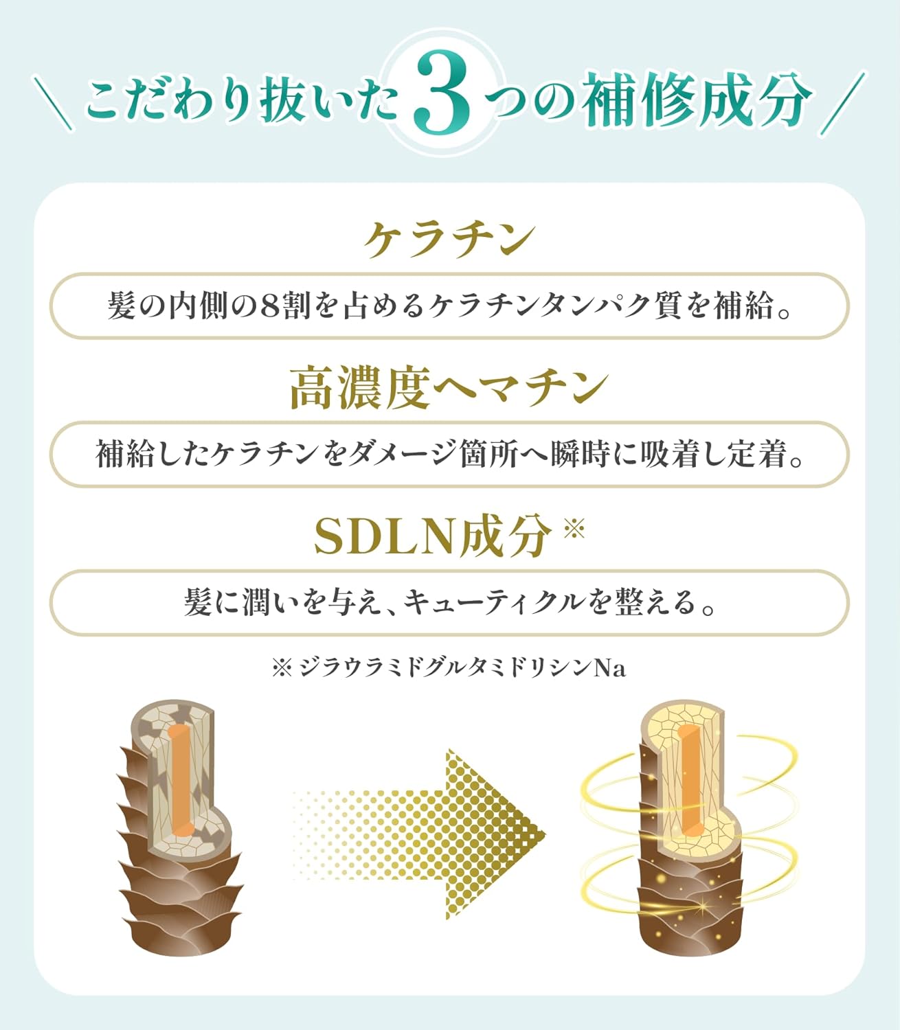 ヘマチン・ケラチン・SDLNの補修イメージ図