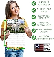 Vista 1362 de Razas de Perros 2017