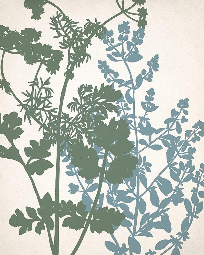 Kits de Germinación