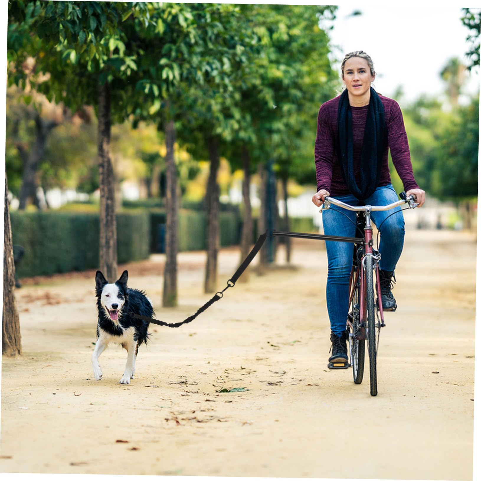 Laisse Vélo Chien Rétractable en Tissu Oxford Alliage Noir