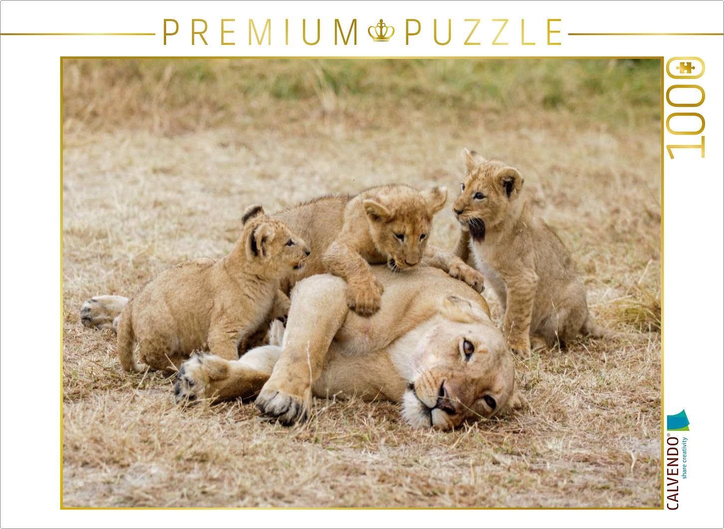 CALVENDO Puzzle Momenti Emotivi: Lion Babys - così carino. 1000 pezzi Lege-Dimensioni 64 x 48 cm Foto Puzzle Immagine di Ingo Gerlach