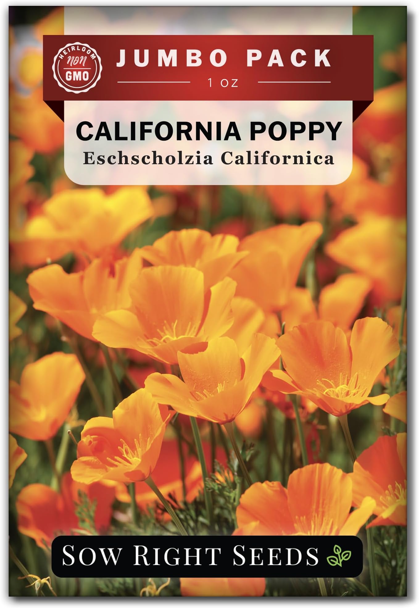 Amazon.com : Sow Right Seeds - California Poppy Seeds for Planting - 1 ...