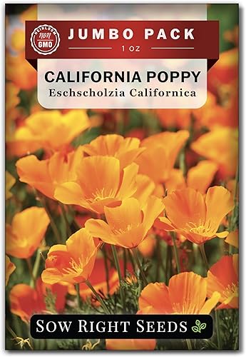 Miniatura 7 de Sow Right Seeds - Semillas de amapola de California para plantar - 1 onza, 21,000 semillas - Paquete jumbo de reliquia sin OMG con instrucciones