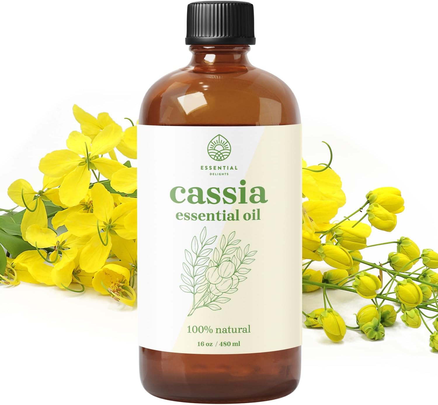 Cassia Essential Oil – Therapeutic Grade Aromatherapy Oil, Natural Immune Support, Mood Enhancer, and Air Purifier for Diffusers, Massage, and DIY Cleaning Products (16 Fl.Oz.)