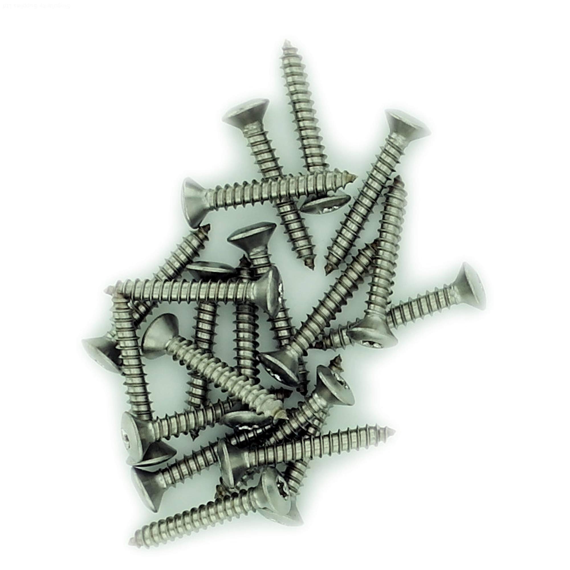 Singularity Supplies Silver No.8 X 0.75 (4.2Mm X 19Mm) Tx Raised Countersunk Self-Tapping Screw - Stainless Steel (A2) (Pack Of 20)
