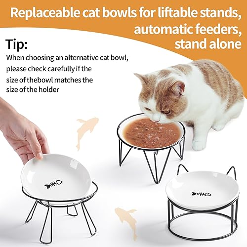 Miniatura 3 de Cuencos de cerámica para gatos de 5.9 pulgadas, platos anchos poco profundos, platos aptos para bigotes, cuenco de comida y agua para gatos de