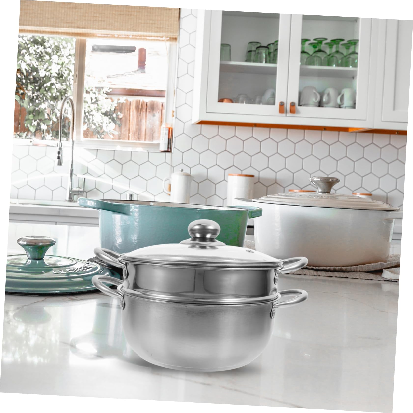 Vaporera Acero Inoxidable de 2 Niveles, Olla Vaporera para Verduras Tapa de Vidrio y Mango, Apta Cocina