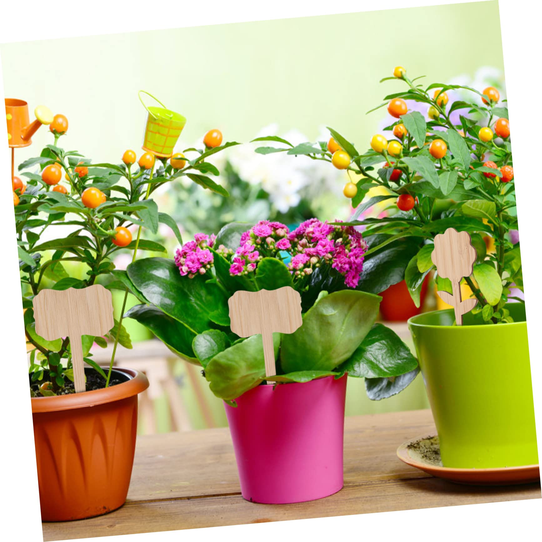 Kisangel 4 Ensembles Marqueurs De Plantes En Bambou Étiquettes De Fleurs De Jardin Étiquettes De Plantes Succulentes Étiquettes De Pots Étiquettes De es es 40 pièces * 4