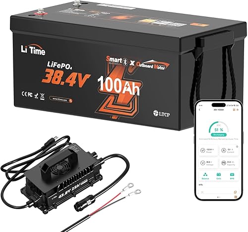 LiTime Batería LiFePO4 de protección a baja temperatura con Bluetooth OBM de 36 V 100 Ah con cargador de 43.8 V 25 A, BMS integrado de 100 A,