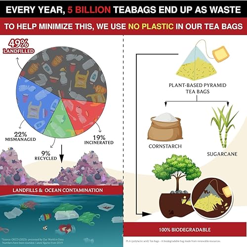 Vista 253 de BREWIX Bolsas de té de albahaca sagrada (15 bolsas de té piramidales) Camiseta con hojas de tulsi y manzanilla Sin cafeína, té de hierbas