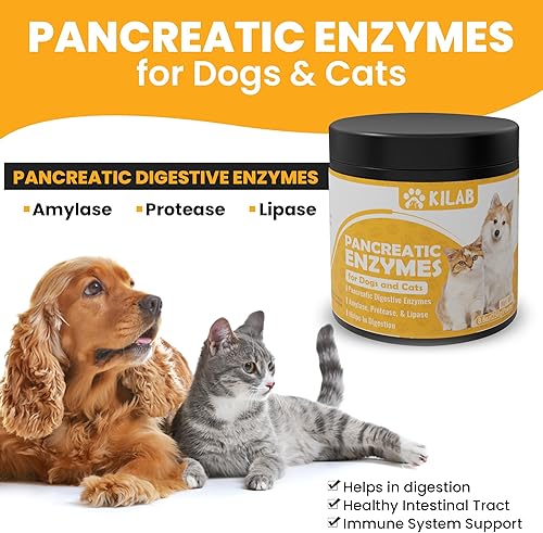 Miniatura 2 de Enzimas pancreáticas para perros - Kilab - Pancreatina para perros y gatos - Enzima pancreática - 10 enzimas digestivas - Diseñado para mascotas con