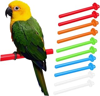 Yardwe 10pcs Bird Perch Stand with Natural Claw Grinding Stick for Parakeets Budgies Cockatiels Durable Cage Poles for Parrots and Finches Washable Exercise Perches