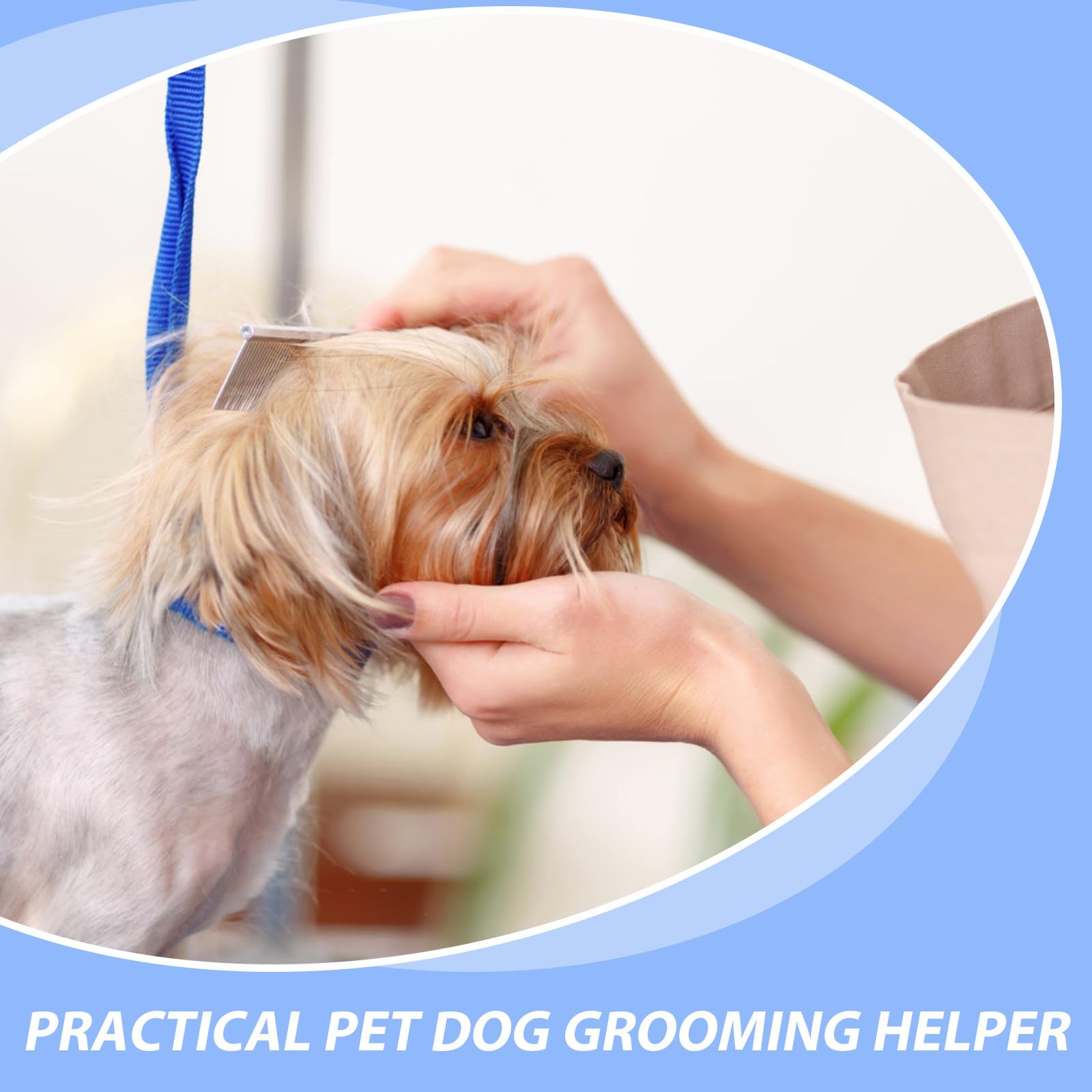 GLEAVI Correa de Baño para Perro de Nailon 6 Piezas Ajustable y Cómoda para Cuidado y Aseo de Mascotas Protección el Cuello