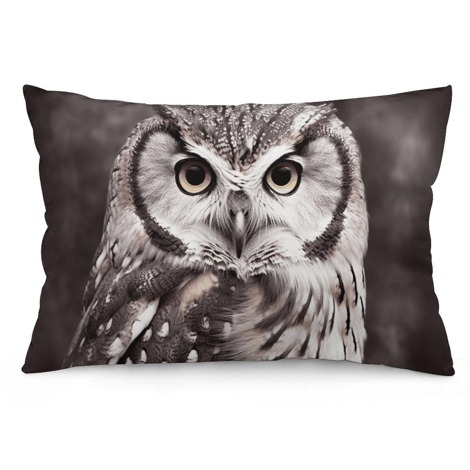 Velvet Pillowcases Standard Size 12 "x20, Ultra Soft Breathable Pillow Cases for Bed, Luxury Cozy Fuzzy Pillow Shams, Lumbar Pillow Cover, Owl Black Cushion Case Home Decor