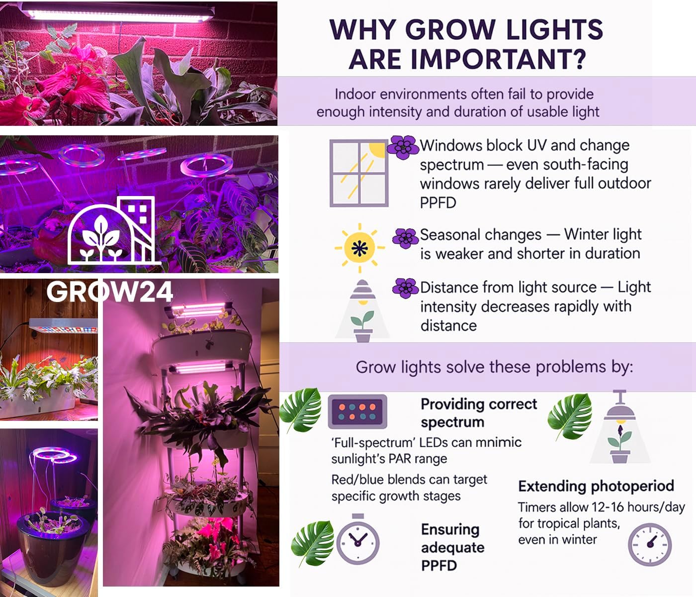 LED Angel Ring Grow Light with Smart Dimming, 1-4-Angle Rings, 3 Light Modes for Growing, Timer Control, USB Powered, Pink Light for Indoor houseplants Plants (4)