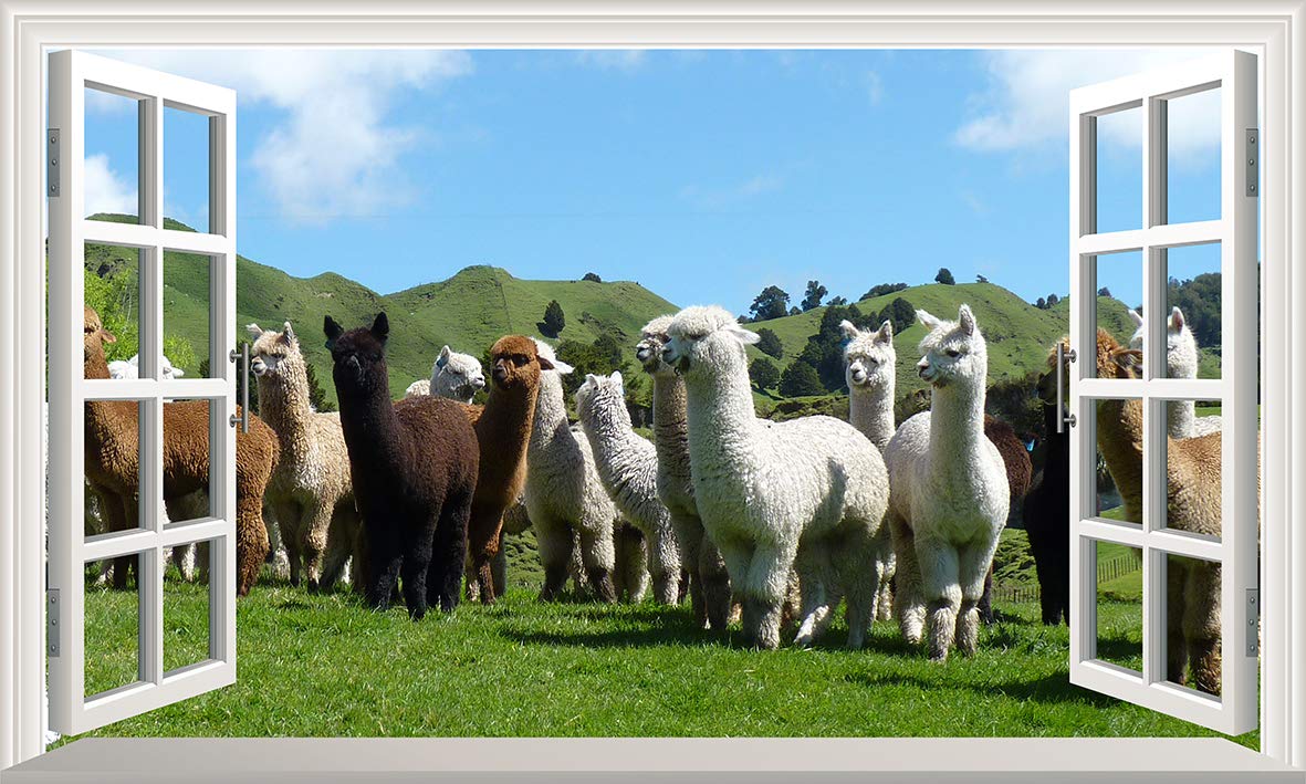 Chicbanners Llama Llamas Alpaca Alpacas 3D V002 Magic Window Wall Sticker Self Adhesive Poster Wall Art Size 1000Mm Wide X 600Mm Deep (Large)