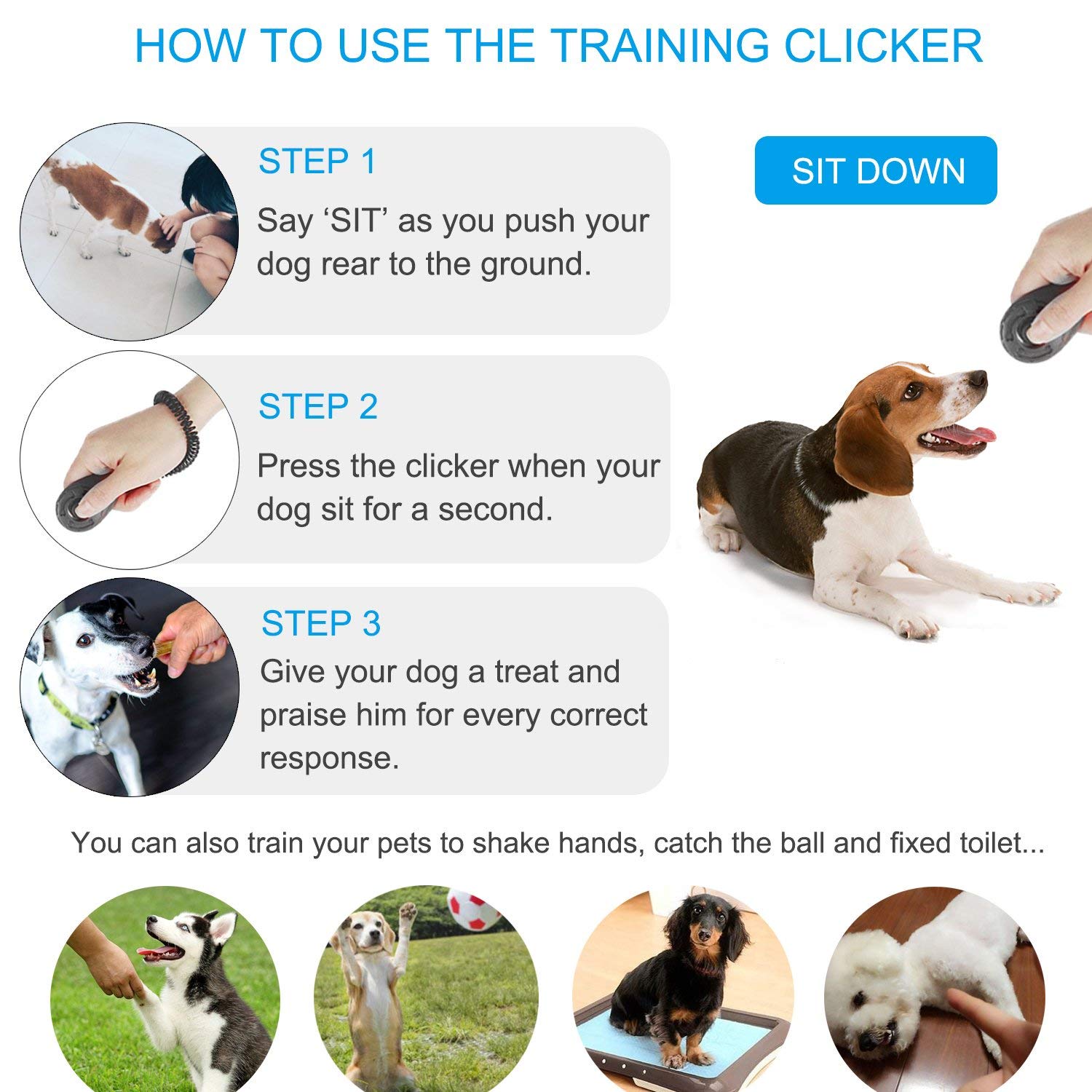 Sage Square Pet Training Clicker with Wrist Strap and Strap Hook for Dog/Cat/Kitten/Puppy/Bird (Blue) 1